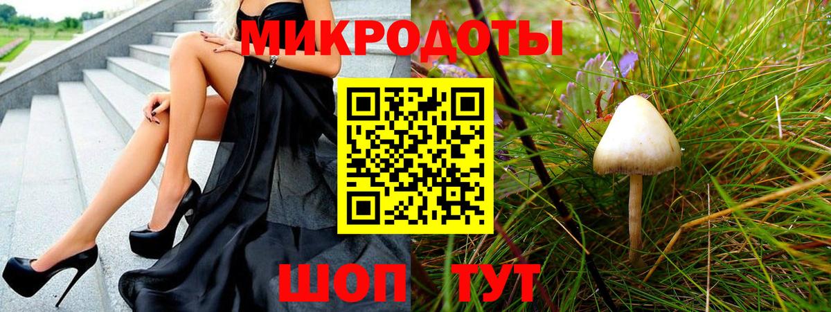 Псилоцибиновые грибы Cubensis Чита