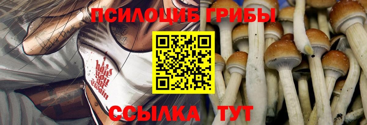 Галлюциногенные грибы Magic Shrooms  Вход с VPN  Псилоцибиновые грибы GOLDEN TEACHER  Чита 
